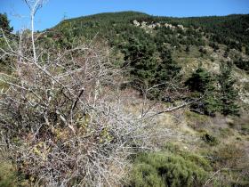 photo coins arrondis